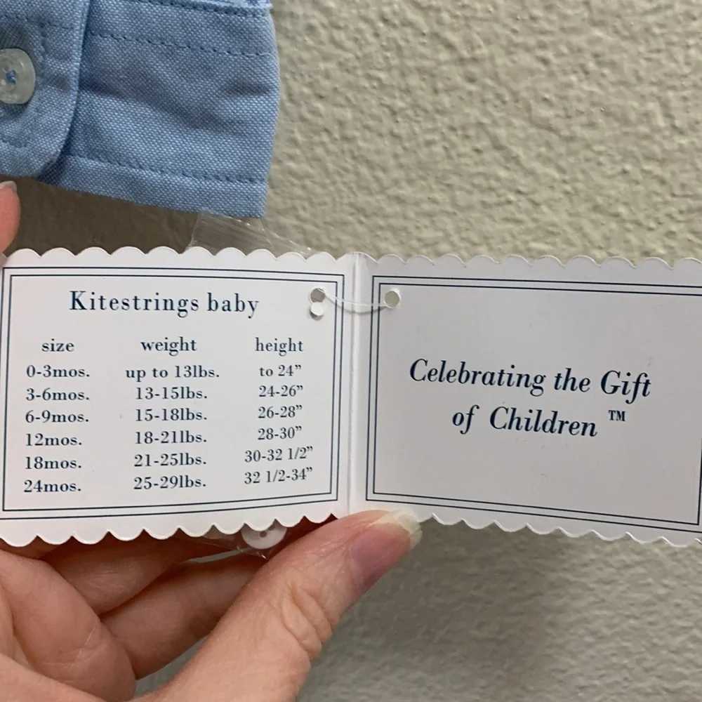 Hartstrings Kitestrings Baby Blue Easter Buttondown Bodysuit 12 Months Tie.